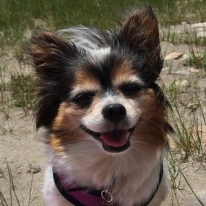 Meet your Posher, Cherilynn